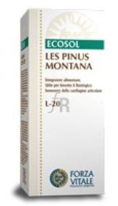 Les Pinus Montana Pino De Montaña 50 Ml. - Forza Vitale