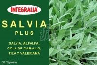 Salvia Plus 60 Cap.  - Integralia