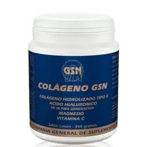 Colageno Gsn Con Acido Hialuronico Naranja 340Gr.