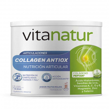 Vitanatur Colágeno Antiox Plus 180 Gr.