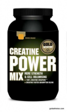 Creatina Power Mix Naranja/Mango 1Kg. - Gold Nutrition