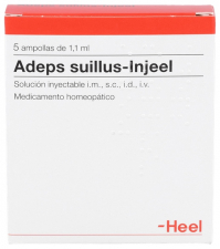 Adeps suillus-Injeel 5 ampollas 1,1 ml